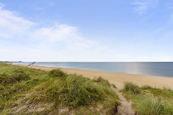 Outdoors, Nature, Water, Sea, Grass