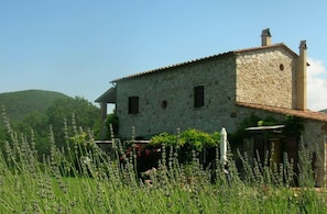 The farmhouse