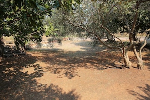 courtyard (house and surroundings)