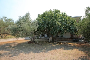 courtyard (house and surroundings)