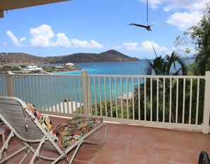 Patio view