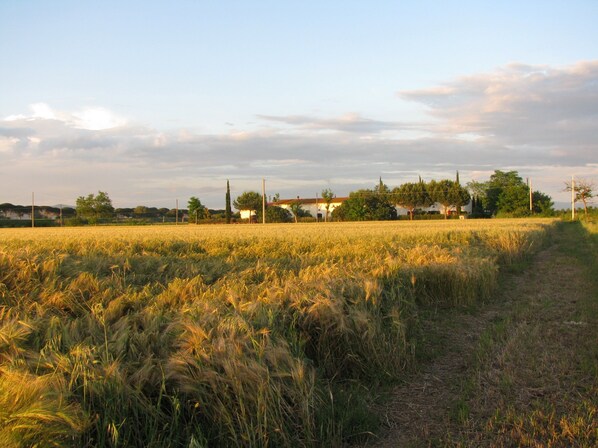 Overnattingsstedets uteområder