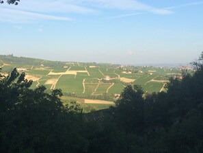 View from the terrace toward the Alps. 