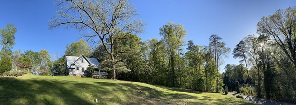 Front yard