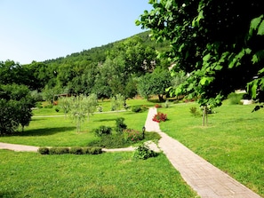 Walking in the garden to the Pool Details at www.leloggedisilvignano.it