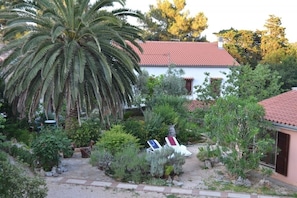 Jardin