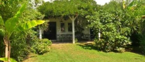 Jardin, terrasse