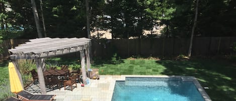 Pool and backyard
