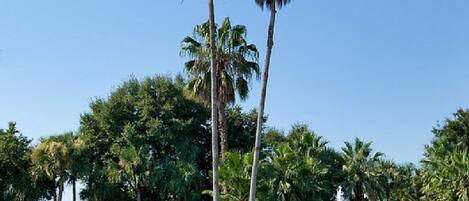 Jardines del alojamiento