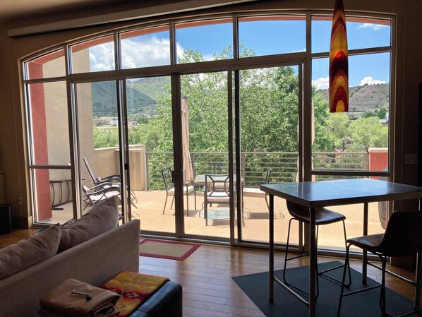 Condo overlooking Animas river