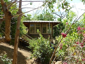 Casa Malinche's dinning and living room area level