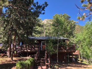 Cabin Dreams