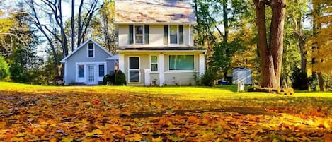 Beautiful fall leaves across the driveway.