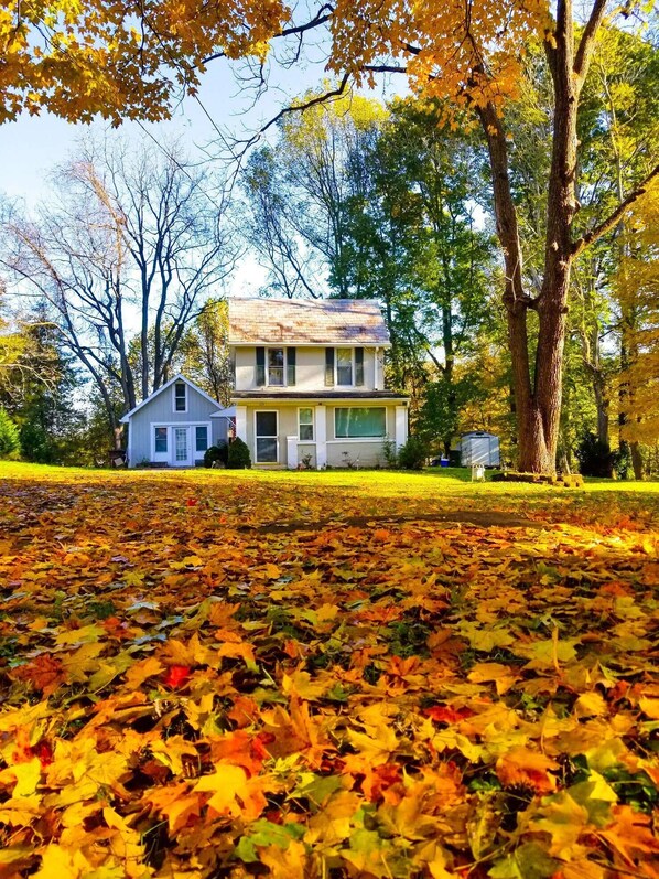 Beautiful fall leaves across the driveway.