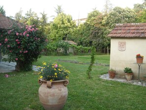 giardino 