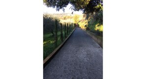 Photo non classée, 5 sur 17, bouton