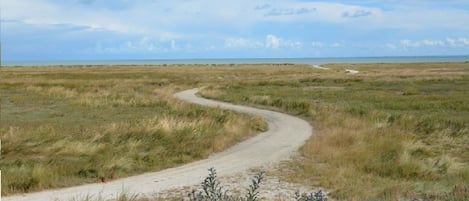 L'étendu préservé des herbus, des dunes au devant la mer