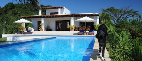 The house seen from the sun deck at the end of the pool