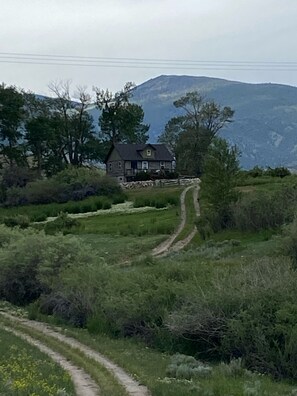 Road to the cabin