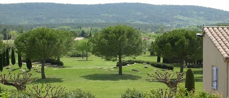 View of Park Behind House