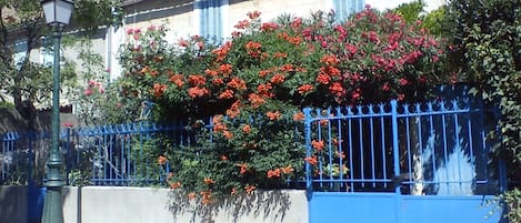 la cour au 35, grand'rue : 
Le Rose et le Bleu