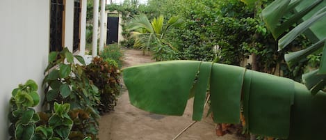 Jardines del alojamiento