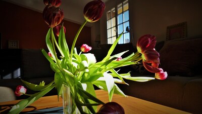 Very quiet XVIIs apartment in the heart of a historic district of Aix