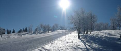 Sneeuw- en skisporten