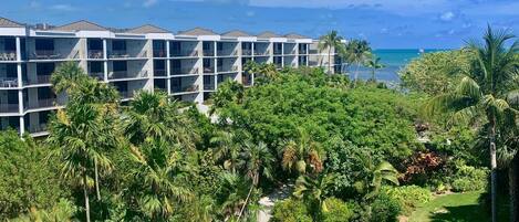 Beautiful View from Balcony & Living room - Ocean & Lush tropical courtyard