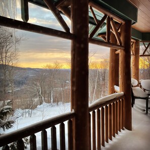 Treetop sunrise 