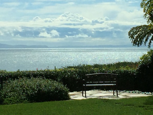 View Point in backyard