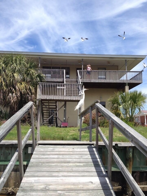 House view from dock