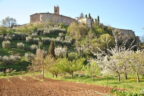 Radicondoli seen from Il Susino at the beginning of spring