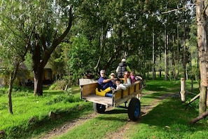 Jardines del alojamiento