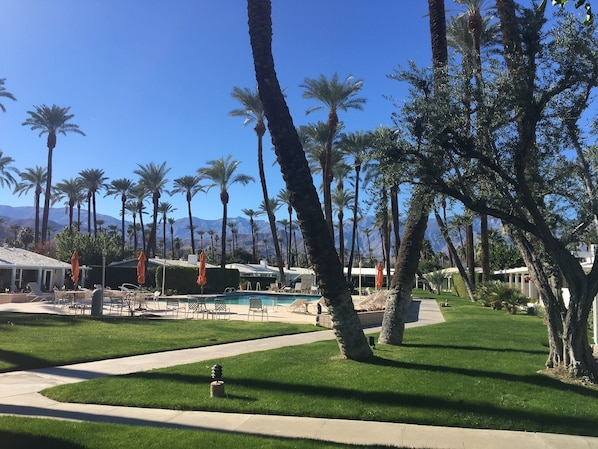 View from patio. Common area with pool and jacuzzi. 