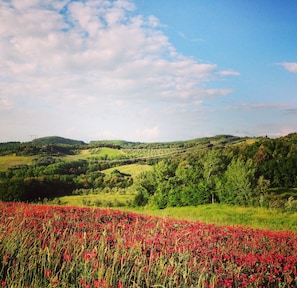 Spring at Agriturismo Le Capanne