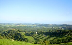 Terrain de l’hébergement 