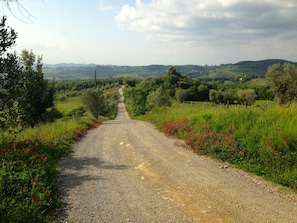 The unmade road to Agriturismo Le Capanne