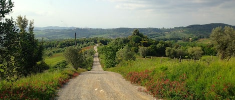 The unmade road to Agriturismo Le Capanne