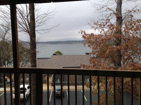 View of Picturesque Lake Hamilton from your balcony