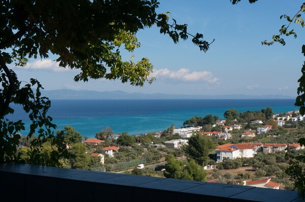 Panoramic view