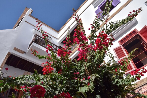 Exterior detail