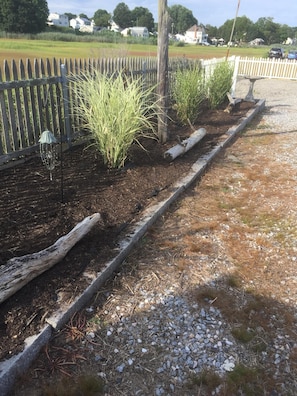 Backyard against Marsh
