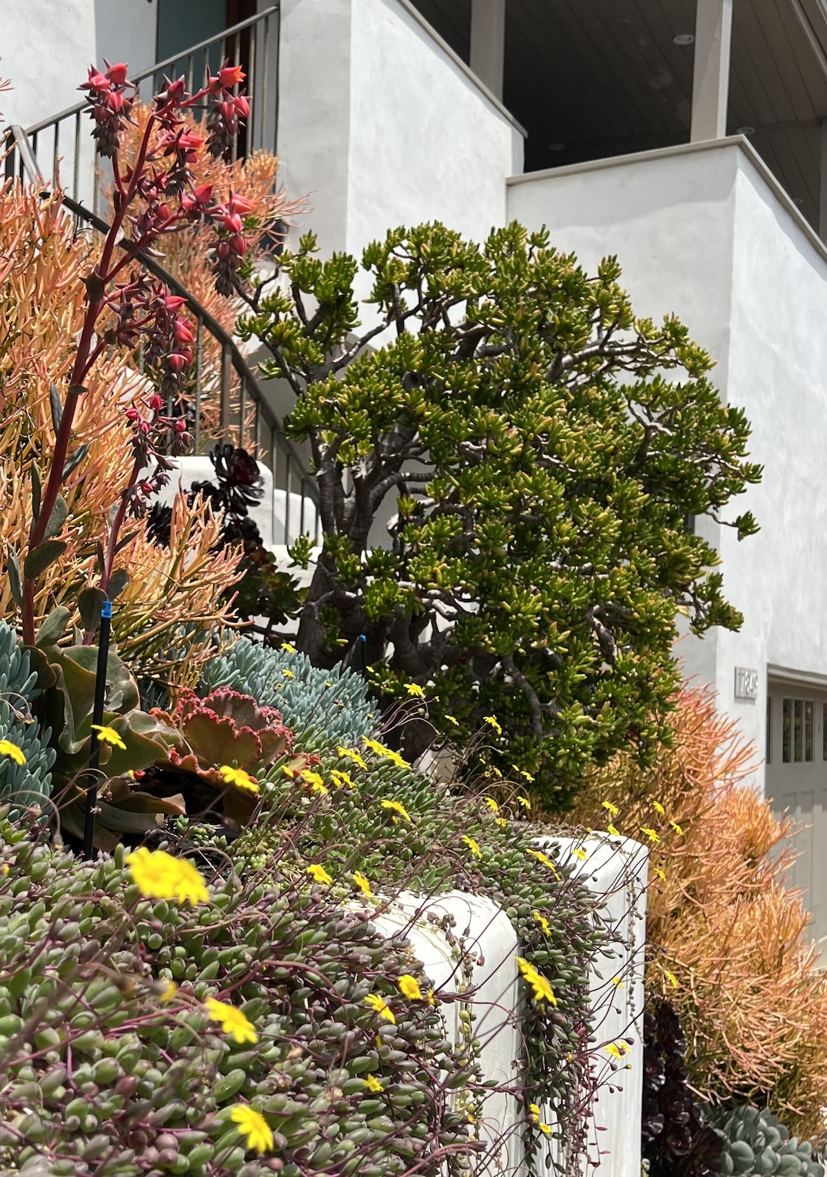 Happy & Private Ocean View Home – 5 minute stroll to beach