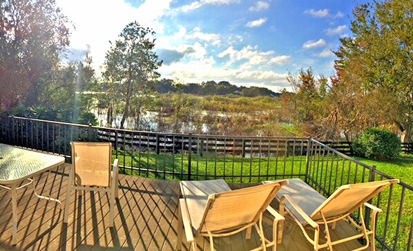 View of preserve/wetlands from rear deck
