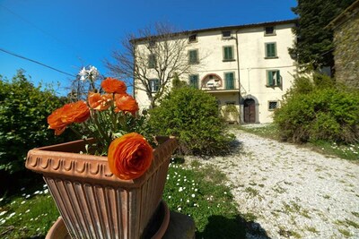 PICCOLO BORGO in EXCLUSIVE in the green, Colline del Trasimeno - OCTOBER OFFERS