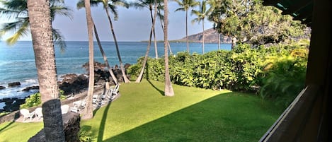 Oceanfront on Historic Kealakekua Bay...a Hawaiian Treasure