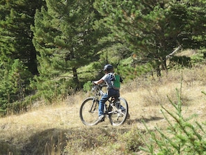 Explore ranch property or the Lewis and Clark National Forest by mountain bike!