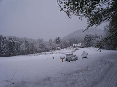 Best Vacation Mountain Experience / ** Forestry Student Special** 