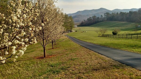 Paved entry driveway